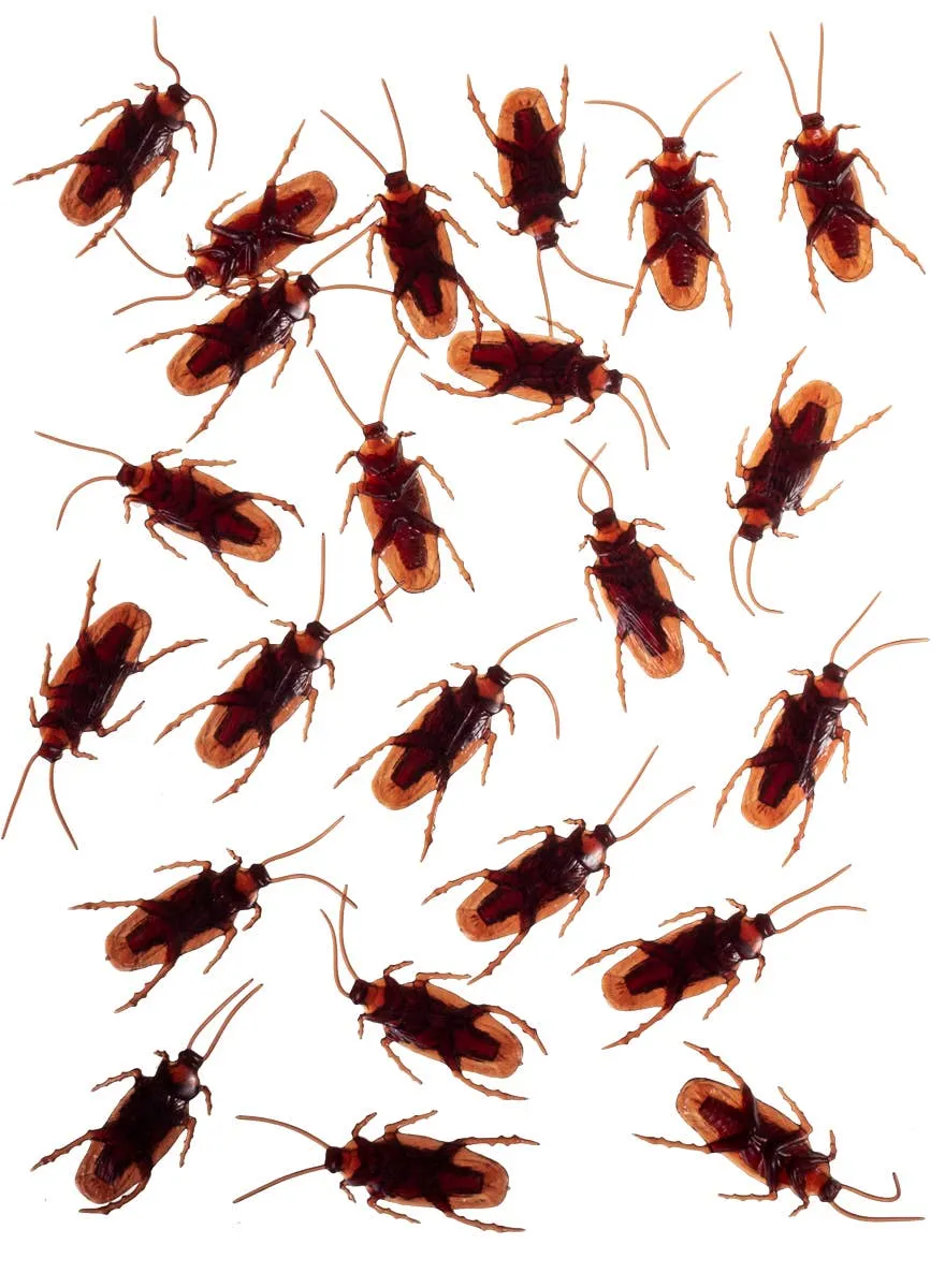 24 Pack of Realistic Cockroaches Halloween Decoration