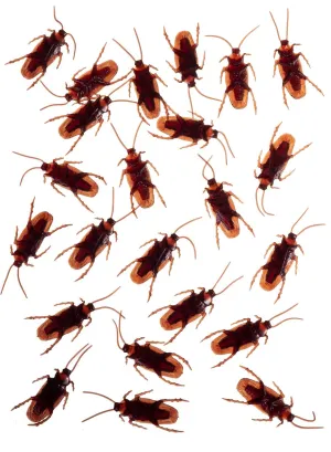 24 Pack of Realistic Cockroaches Halloween Decoration