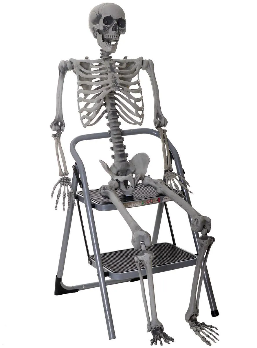 Aged Life Size Poseable Skeleton Decoration with Light Up Eyes