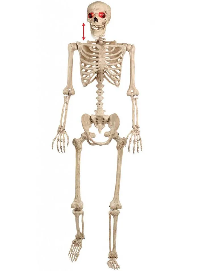 Animated Hanging Life Size Skeleton Halloween Decoration