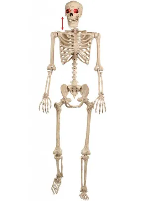 Animated Hanging Life Size Skeleton Halloween Decoration