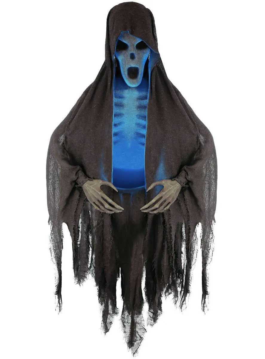 Animatronic Harry Potter Dementor Deluxe Halloween Decoration