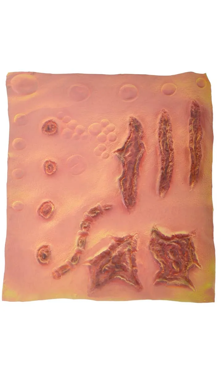 Body Boils, Scars and Scabs Special Effects