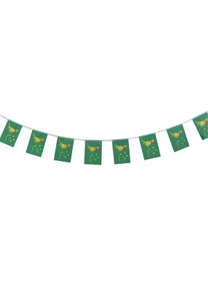 Boxing Kangaroo 3m Long Green And Gold Australian Party Bunting