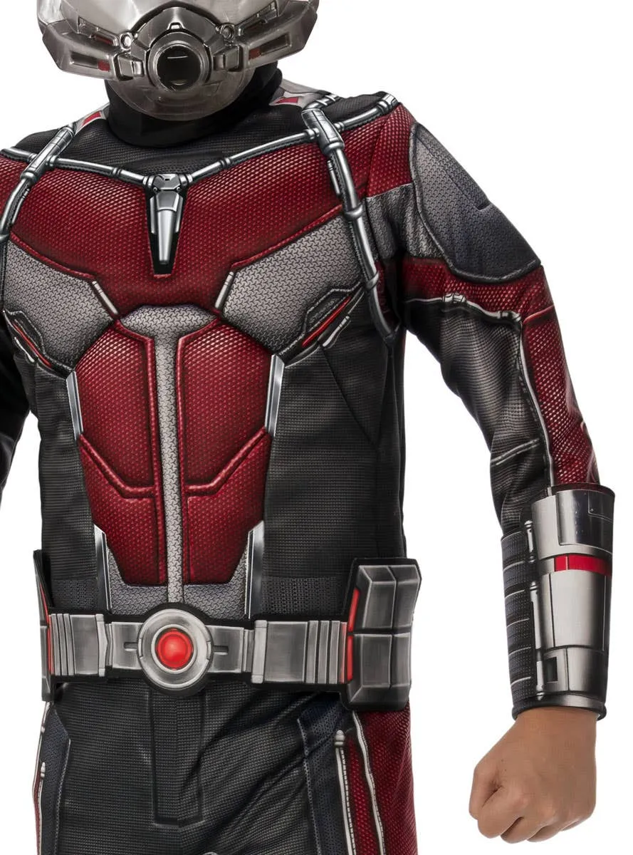 Boys Ant Man Avengers Dress Up Costume