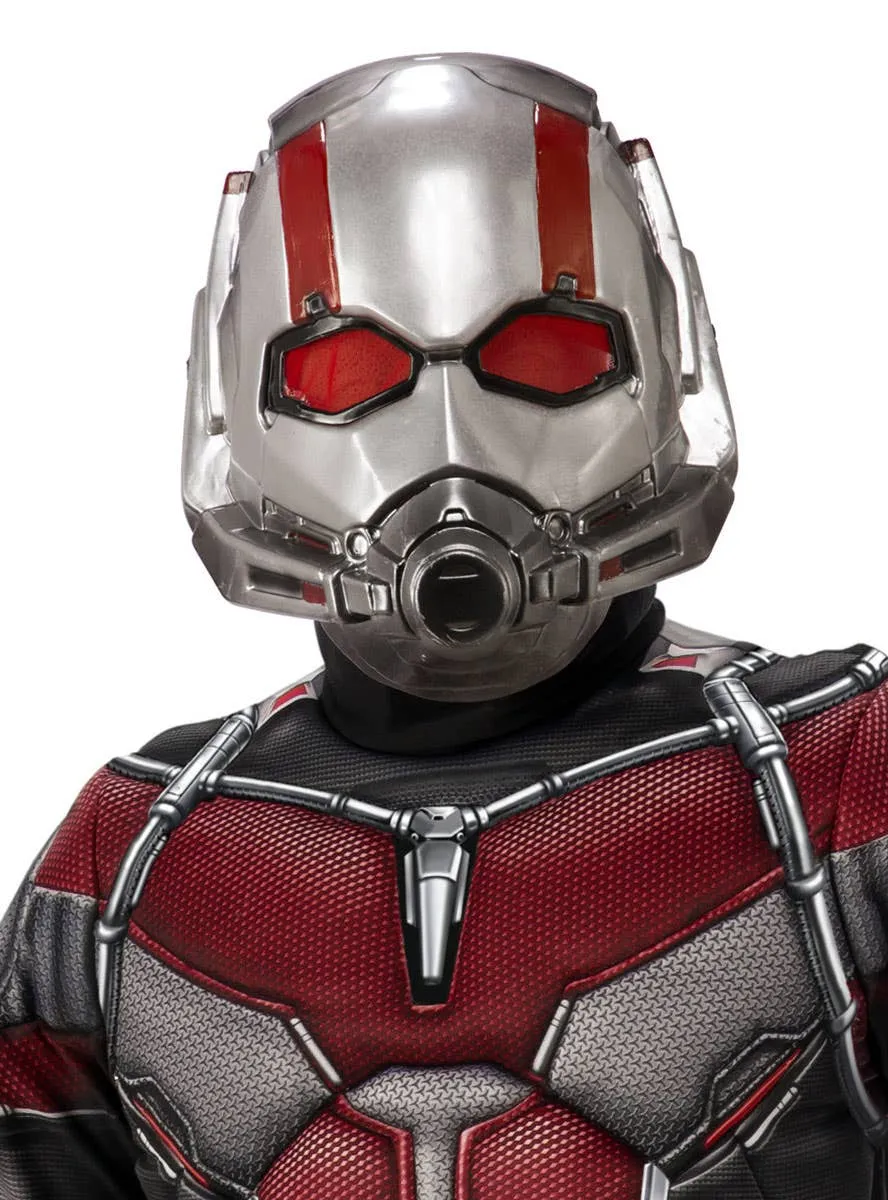 Boys Ant Man Avengers Dress Up Costume