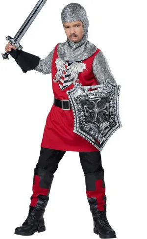 Brave Knight Boys Medieval Fancy Dress Costume
