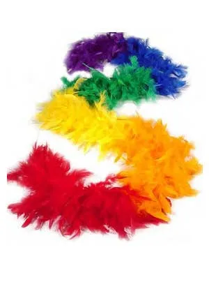 Bright Rainbow Feather Costume Boa