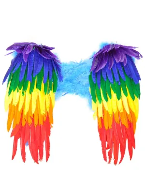 Bubbled Rainbow Feather 45cm Costume Wings