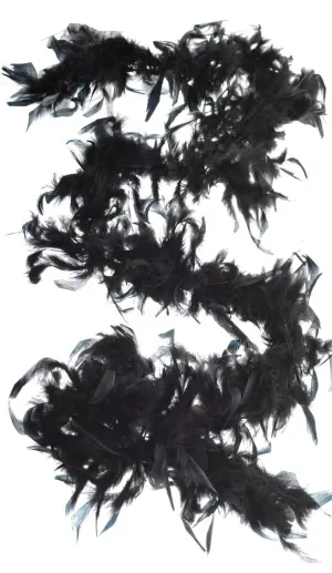 Burlesque Black Feather Boa Costumes Accessory