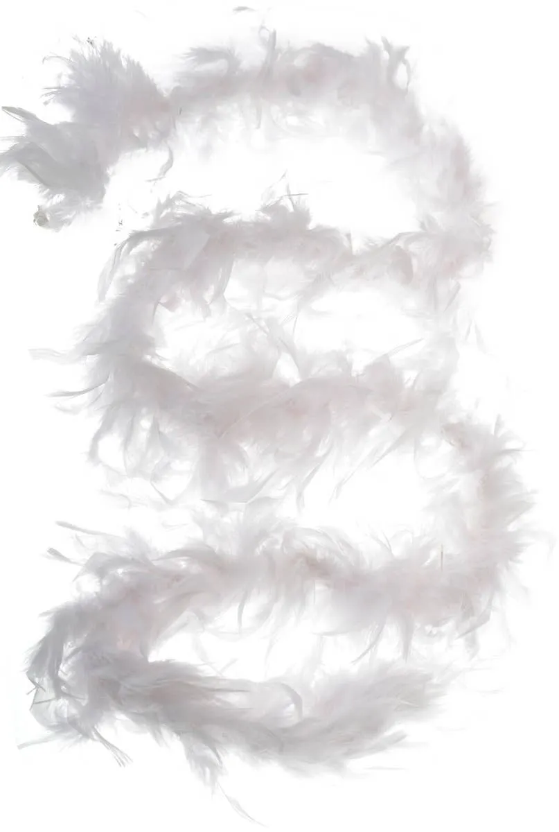 Burlesque White Feather Boa Costumes Accessory