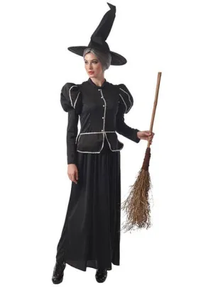 Classic Witch Womens Halloween Dress Up Costume
