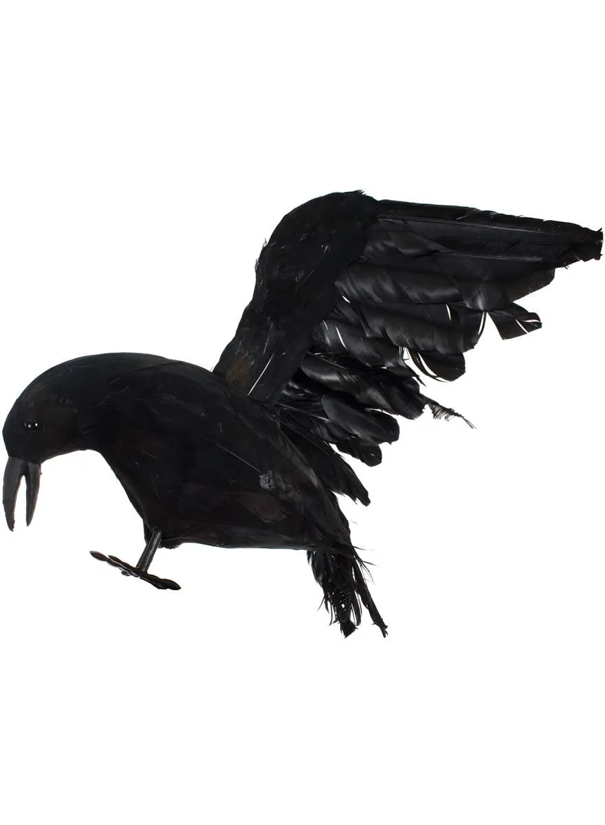 Creepy Black Feather Raven Halloween Decoration