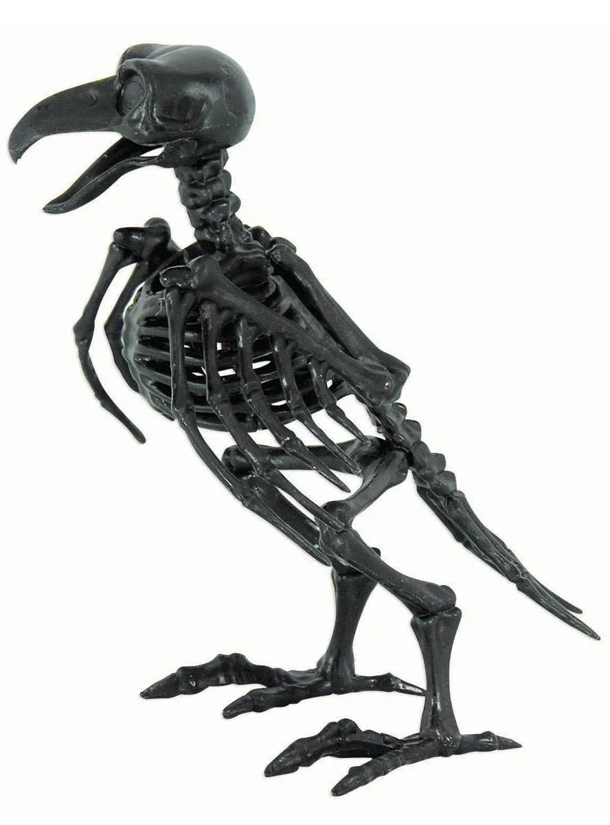 Creepy Black Raven Skeleton Halloween Decoration