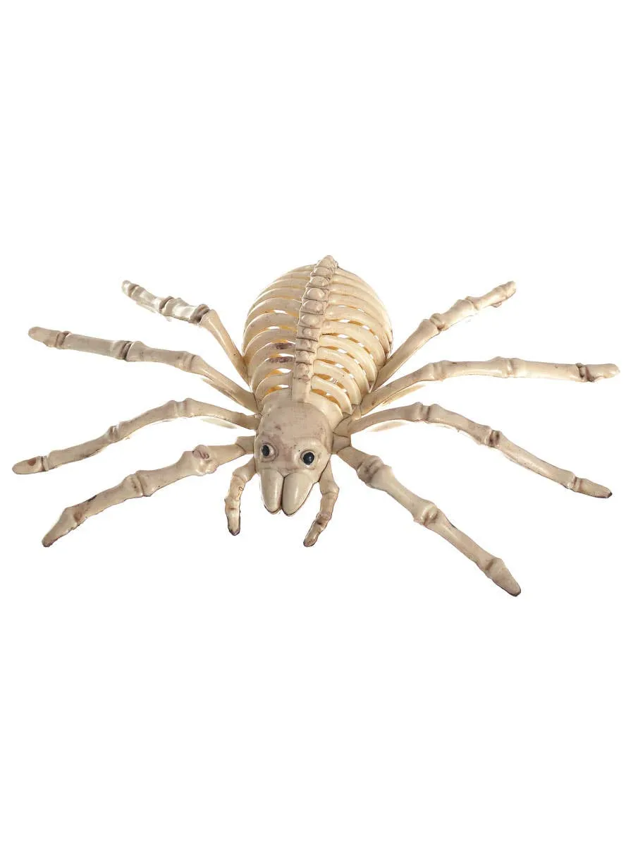 Creepy Plastic Spider Skeleton Halloween Decoration