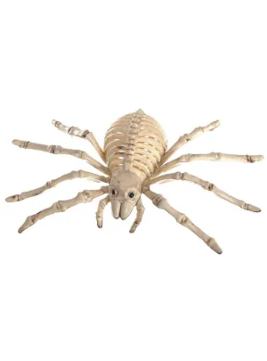 Creepy Plastic Spider Skeleton Halloween Decoration