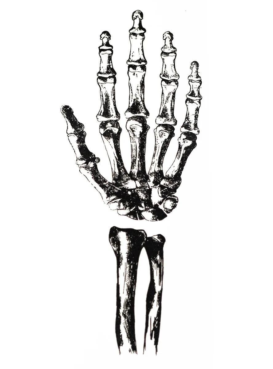 Day of the Dead Creepy Skeleton Arm Tattoo
