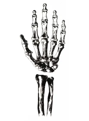 Day of the Dead Creepy Skeleton Arm Tattoo