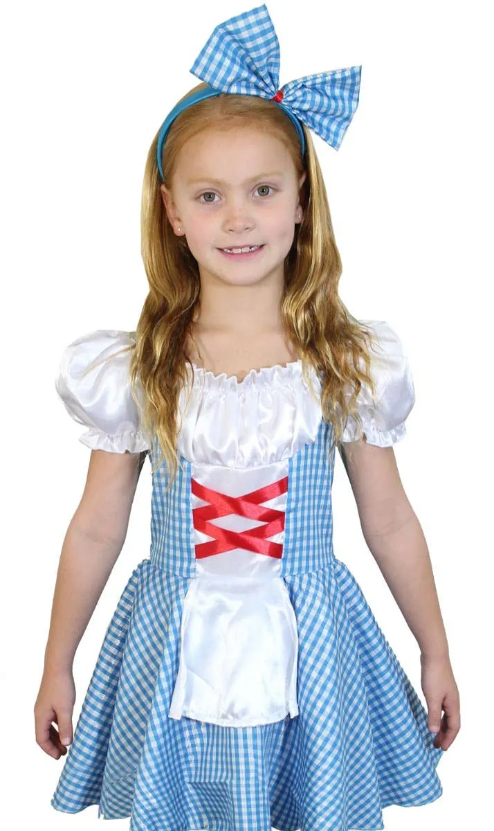 Delightful Dorothy Girls Book Week Costume