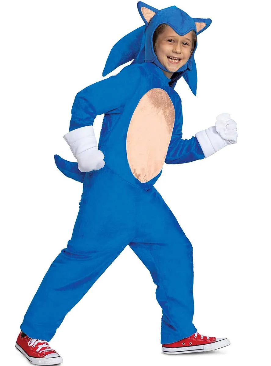 Deluxe Licensed Sonic the Hedgehog Boys Costume