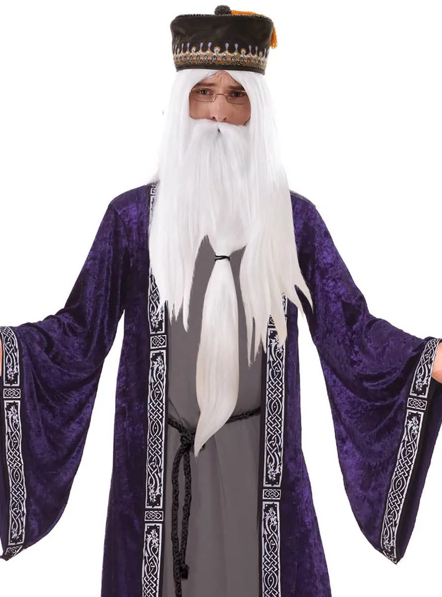 Eccentric Wizard Mens Dumbledore Inspired Costume