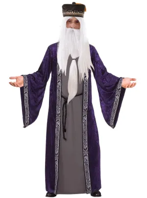 Eccentric Wizard Mens Dumbledore Inspired Costume