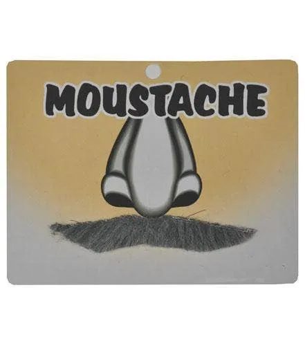 English Gentleman's Grey Costume Moustache