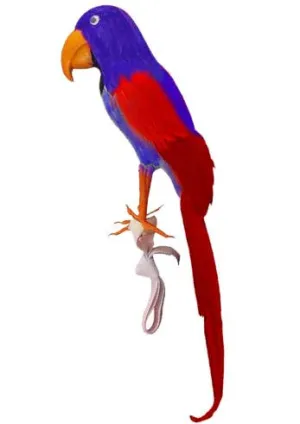 Feather Shoulder Parrot Pirate Accessory