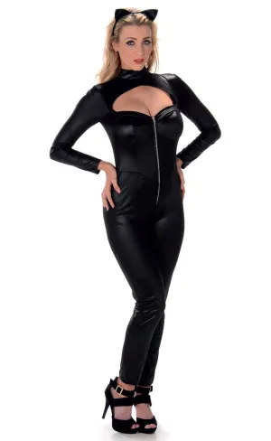 Feline Fatale Womens Sexy Black Catsuit Costume