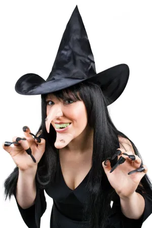 Frightful Witch Halloween Costume Accessory Kit
