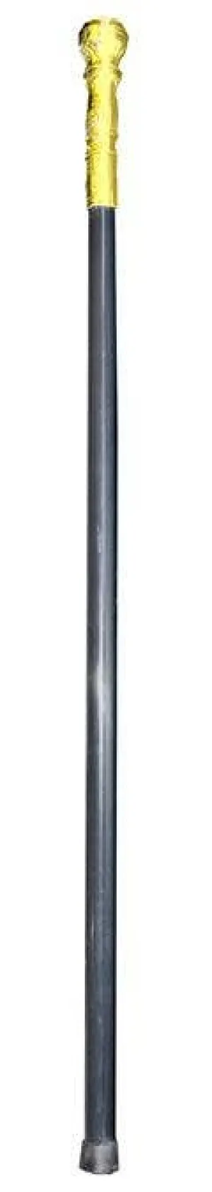 Halloween Gold Cane Costume Accessory