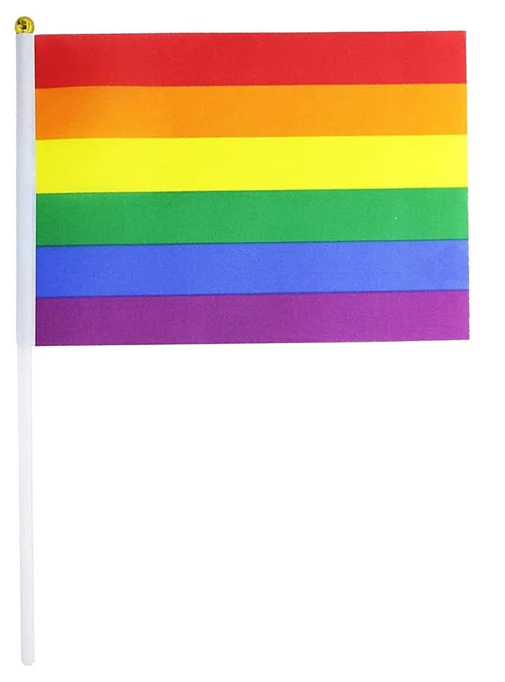 Hand Held 30x45cm Rainbow Flag Decoration
