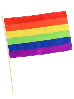 Hand Held Rainbow Mardi Gras Pride Flag