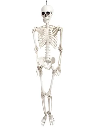Hanging 100cm Human Skeleton Halloween Decoration