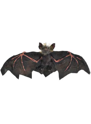 Hanging Black and Pink 30cm Vampire Bat Halloween Decoration