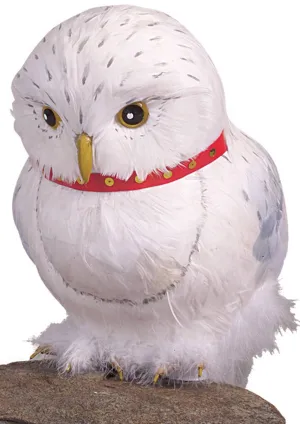 Harry Potter Hedwig The Owl Costume Accessory Prop