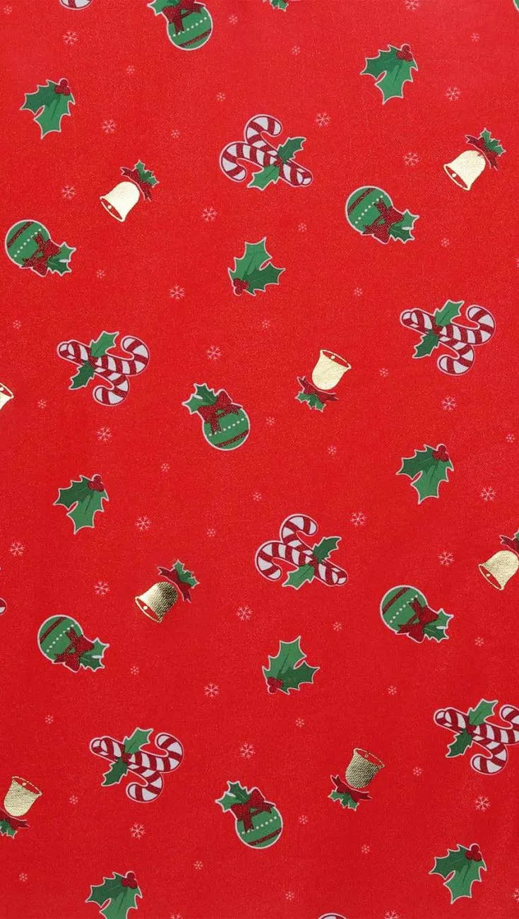 Holiday Red Kids Christmas Costume Vest and Hat