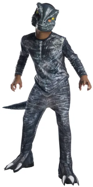 Jurassic World Blue Raptor Boys Dinosaur Costume