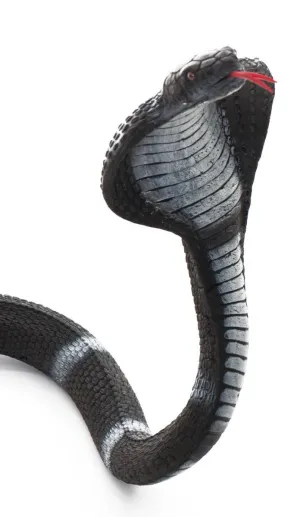King Cobra Black And White Striped Halloween Snake Prop