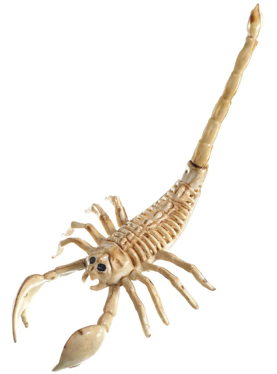 Large Plastic Skeleton Scorpion Halloween Decoration