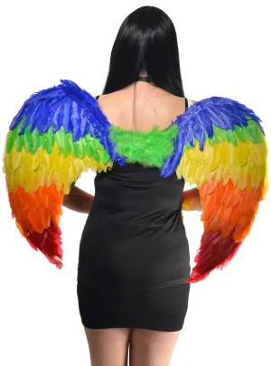 Large Rainbow Feather Costume Wings