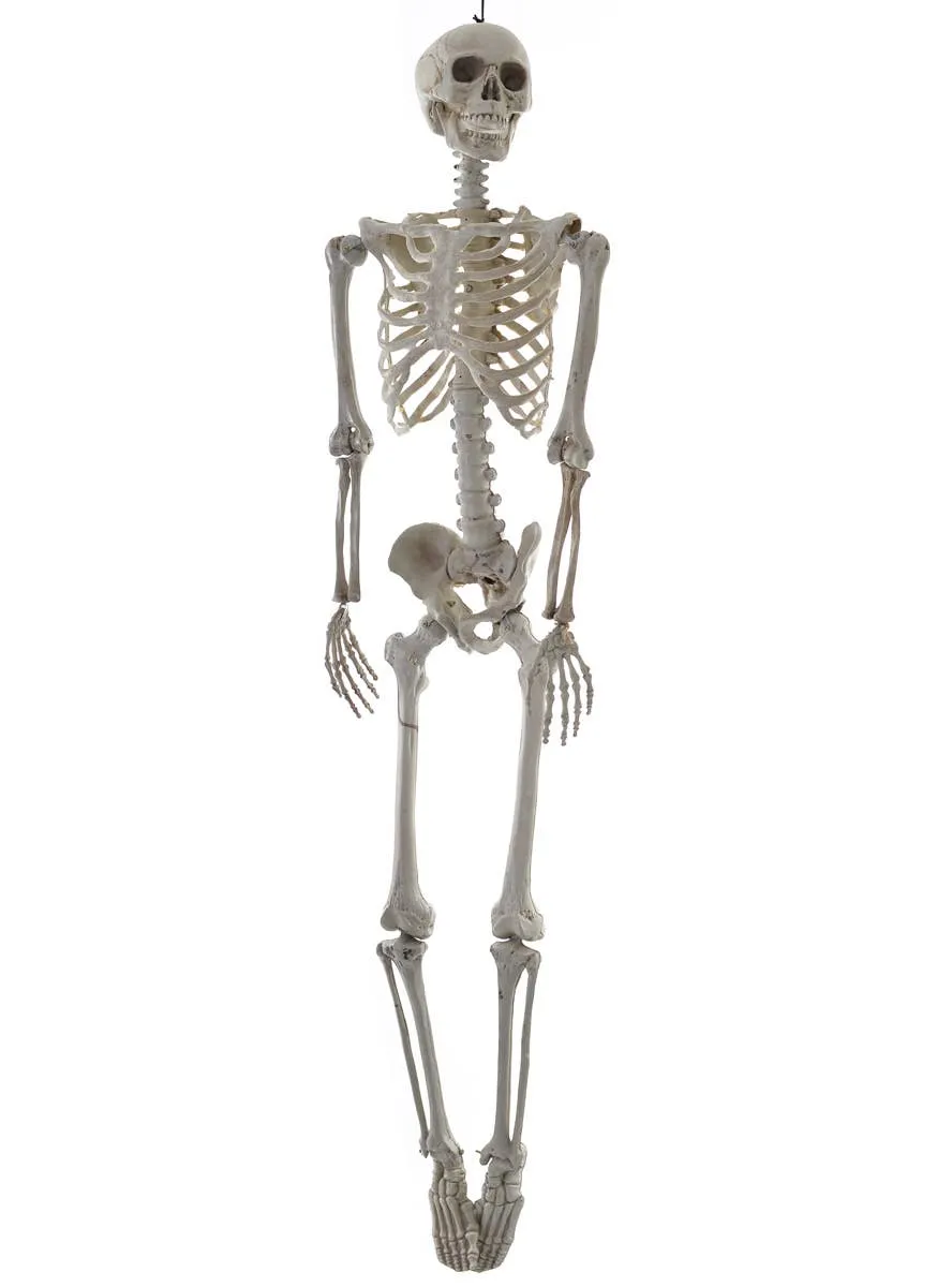 Life Size Hanging Skeleton Halloween Decoration