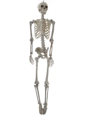 Life Size Hanging Skeleton Halloween Decoration