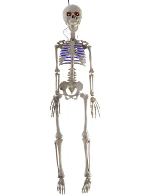 Light Up 80cm Hanging Skeleton Halloween Decoration