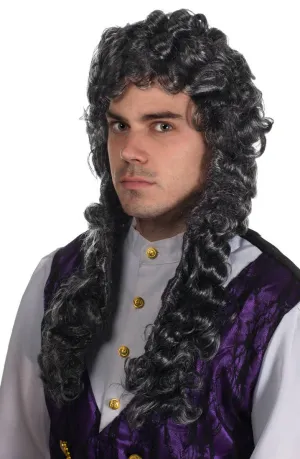 Long Curly Grey Baroque Mens Costume Wig