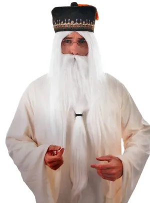 Long White Wizard Costume Wig and Beard Set