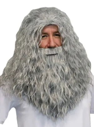 Magical Wizard Long Grey Costume Wig and Beard Set