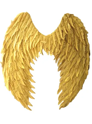 Metallic Gold Angel Costume Wings
