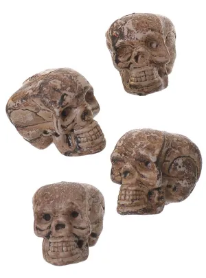 Mini Pack of 4 Aged Skull Heads Halloween Decoration