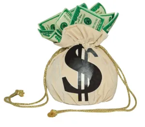 Money Bags Novelty Gangster Costume Handbag